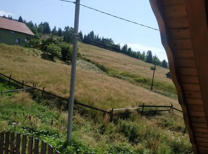 Cottage Schubina * Polyanitsa Popovichevskaya