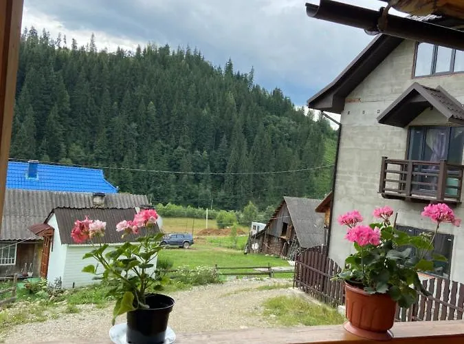 Cottage Schubina * Polyanitsa Popovichevskaya